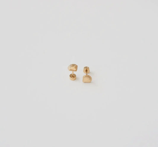Sea shell Studs